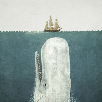 « white baleine », impression sur toile tendue