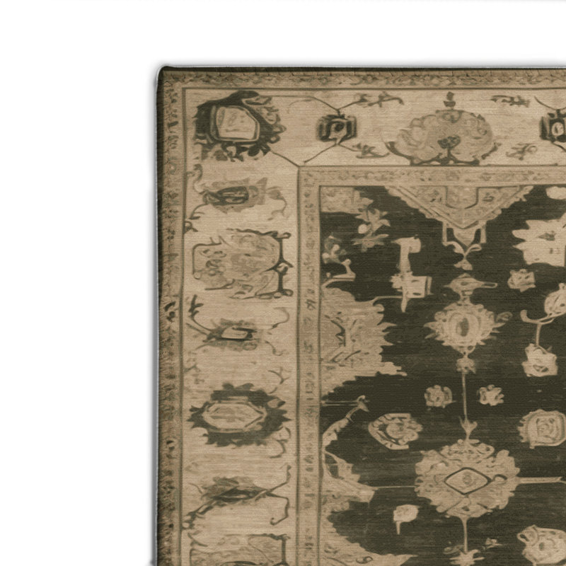 Tapis intérieur et extérieur brun Overdyed, Rectangulaire 2 pi x 3 pi