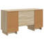  Desk with Shelf with Storage with Door Engineered Wood Study Office-584228101