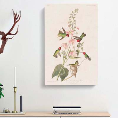 Columbian Hummingbirds - Wrapped Canvas Painting