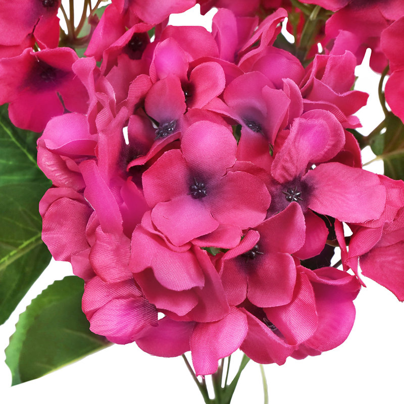 Tige d'hortensia de luxe Cragmont, Magenta