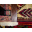 Oriental Area Rug in Rust