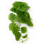 25 cm H Faux Plant-127681123
