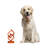 Danwood Text & Numbers Figurines & Sculptures