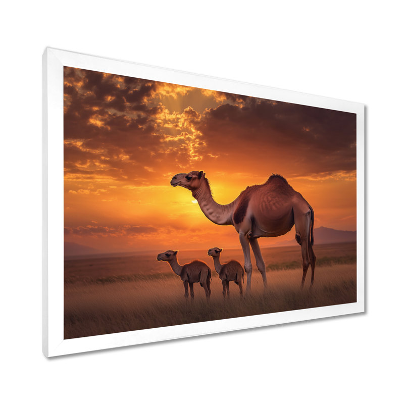 Afrique, paysage de chameaux au coucher du soleil - art mural imprimé chameau, H 12 po x l 20 po, Blanc