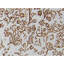 Tapis argenté / doré de haute qualité noué à la main-72344907