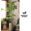 Faux plantes et arbres en plastique vert