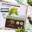 Raised Garden Bed-160042795