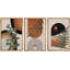 «Mid Century Modern Boho», Southwestern Desert Jungle-73721021-73721023