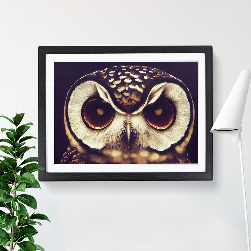 Exquisite Owl - Single Picture Frame Print, Black Framed, 34cm H x 46cm W x 2cm D