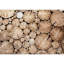 Canyon Home Decor-93997048