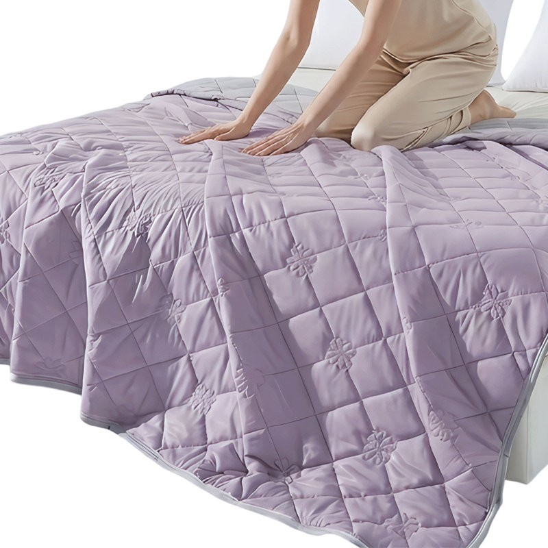 Courtepointe Aigbiot Home, 200x230cm, light purple