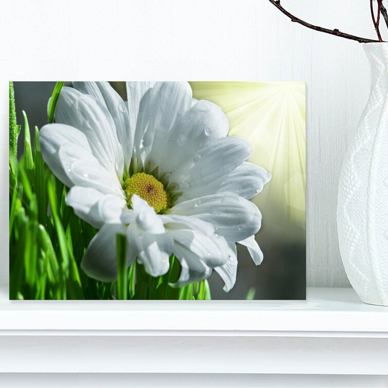 Paper House 3D Stickers Oxeye Daisies