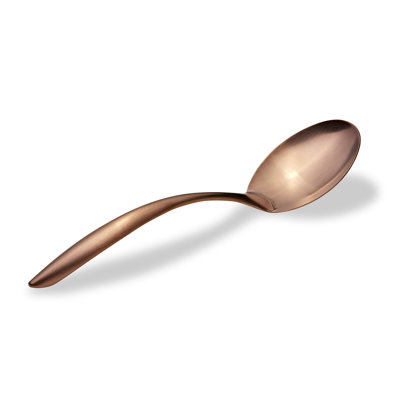 Stainless Steel Serving Spoon