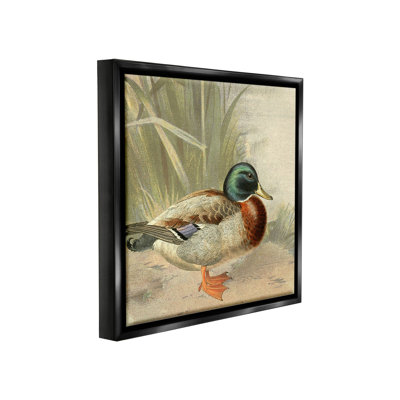 «Traditional Duck And Pond» par Gail Fraser sur