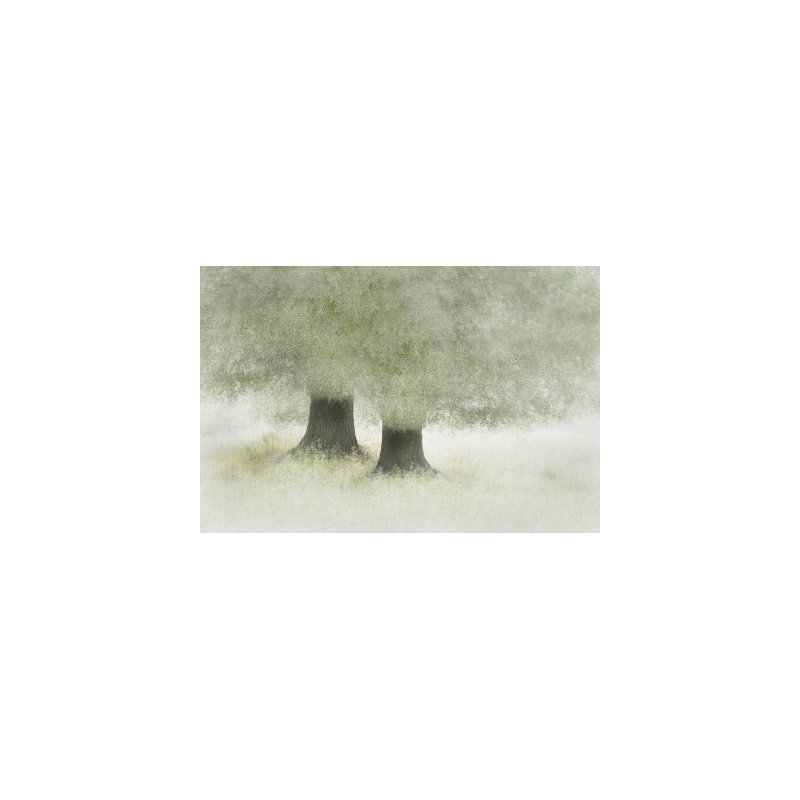 Wrapped Canvas Print, 50.8cm H x 76.2cm W