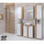 Edwyn Wall Mounted Required Linen Cabinet