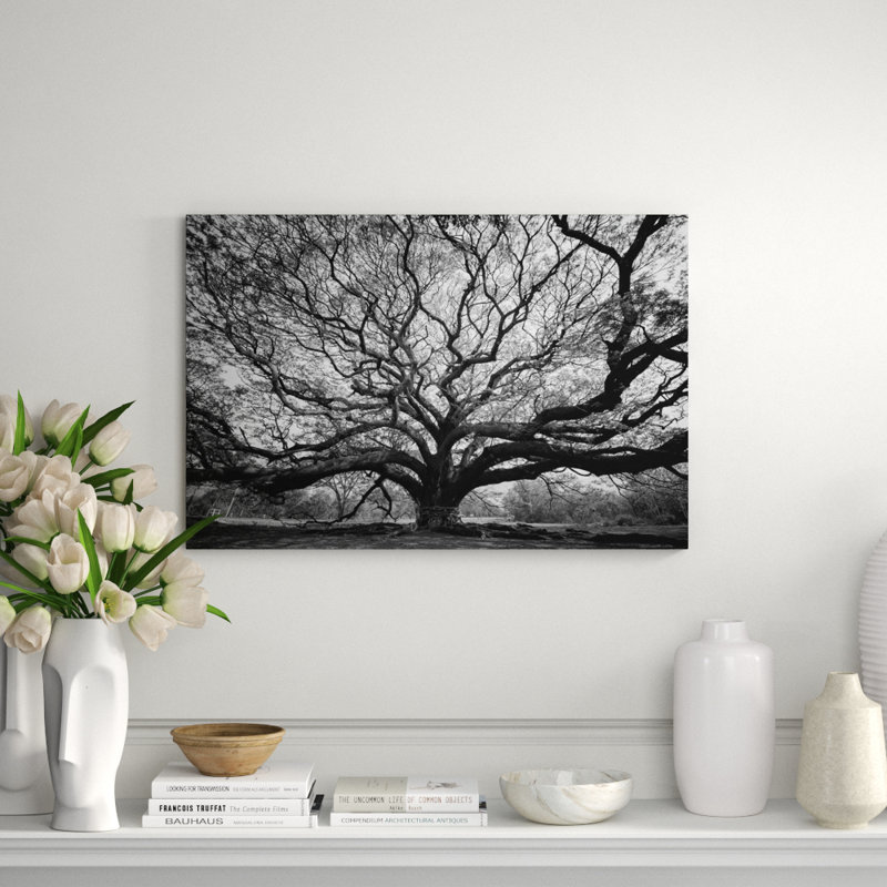 Tree Of Wisdom Print, 16" H x 20" W x 1.5" D