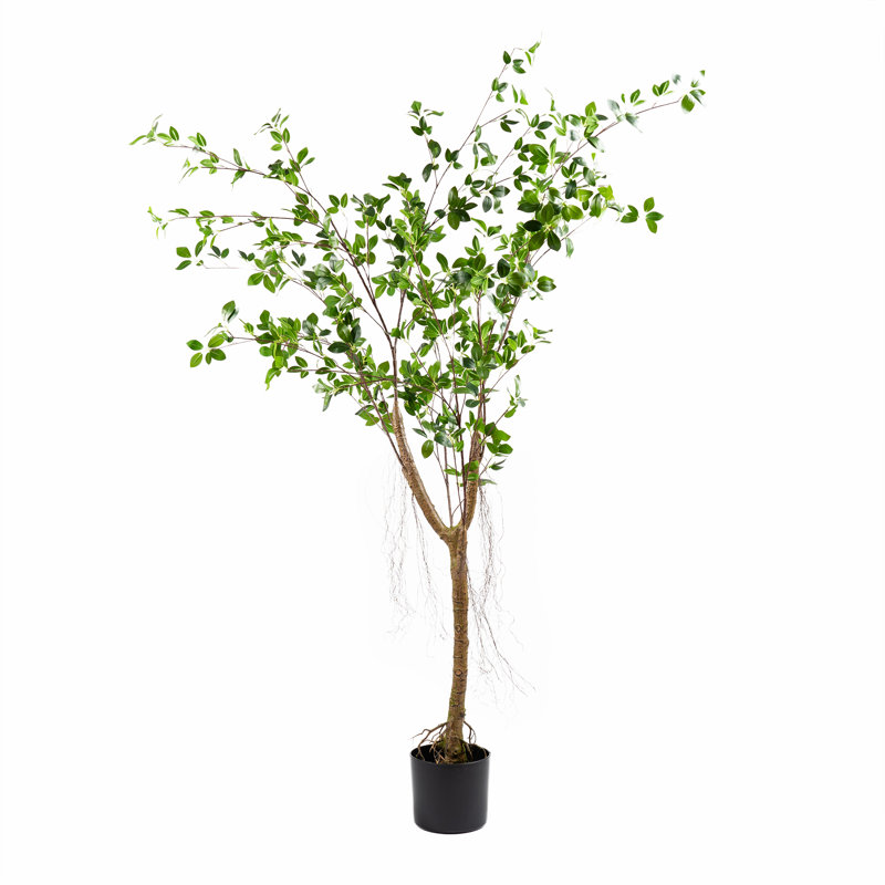 150cm FauxReal Touch Mini Ficus Tree