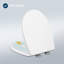 Family Toilet Glasses With Integrated Child Seat, Soft Closure, Quick Disassembly, Adjustable Hinges, O-Shape, Duroplaster, For Adults And Children