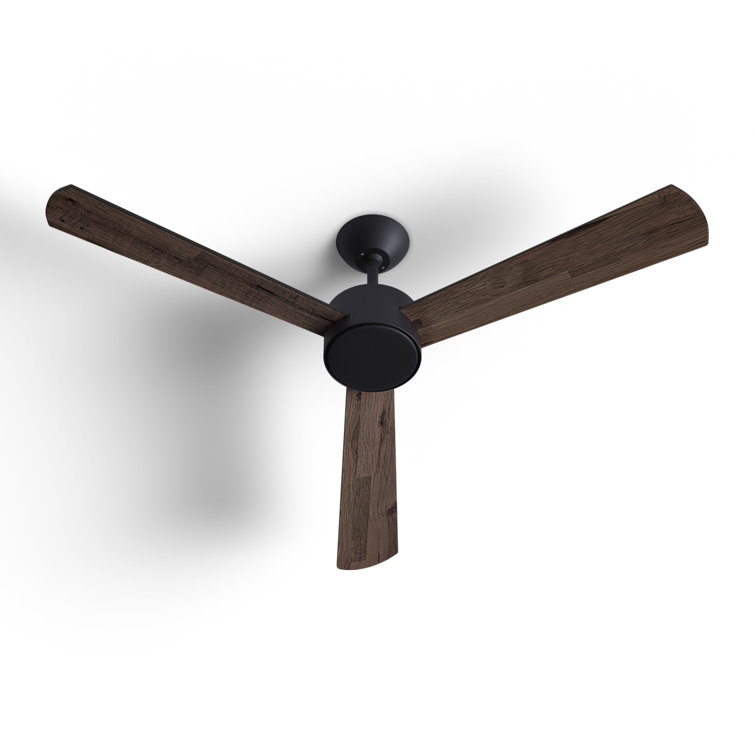 52" Tora 3 - Blade Standard Ceiling Fan with Remote Control