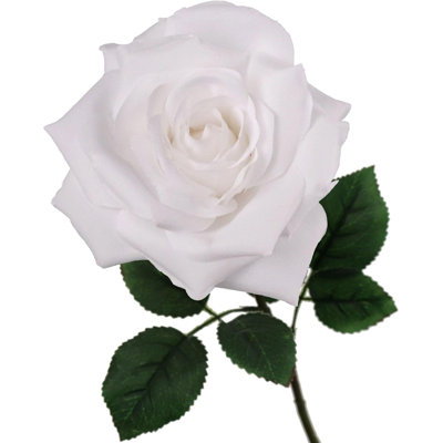 Tige de roses