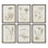 Wild Flower Wall Art