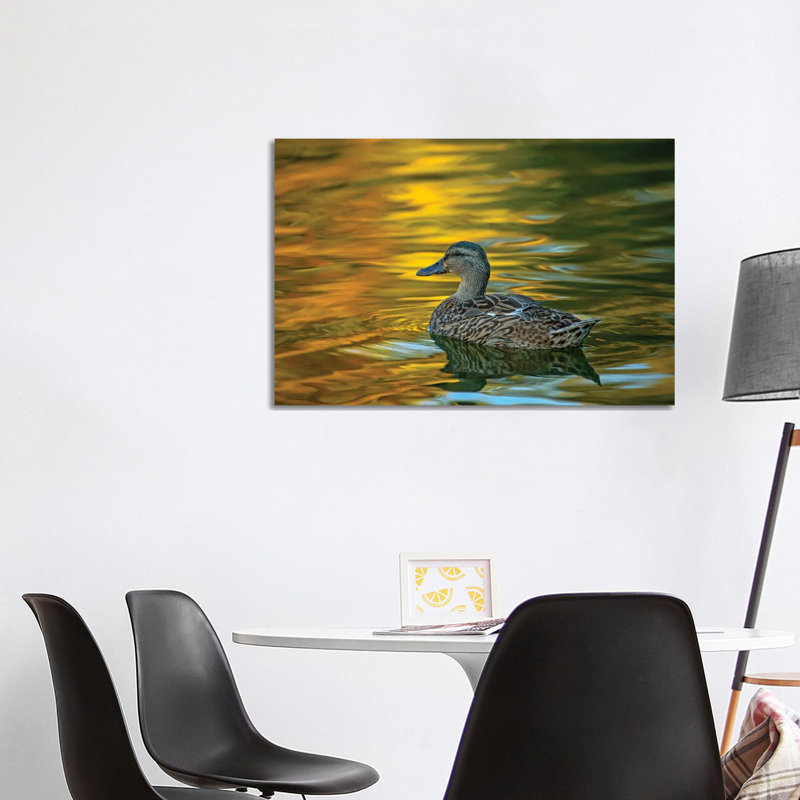 Night Glow On Golden Pond by Louis Ruth - Wrapped Canvas Print, 101.6 cm H x 66.04 cm W
