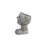 Joyful Grin: Whimsical Elegance in a Planter
