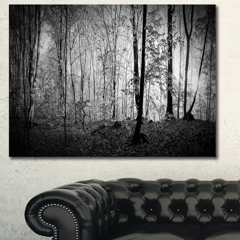 « matinée à l’épaisse automne forest », reproduction de photo sur toile tendue, H 40 po x l 60 po x P 1,5 po, Toile tendue