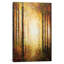 «Golden Light Through Trees», impression sur toile-21491922-72005201-72005200