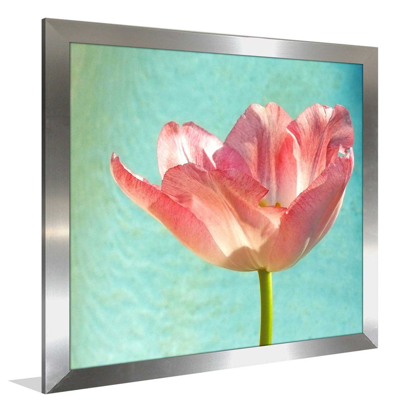 «Pink Tulip», reproduction de photo, H 25,5 po x l 25,5 po x P 1 po, Encadrement argenté