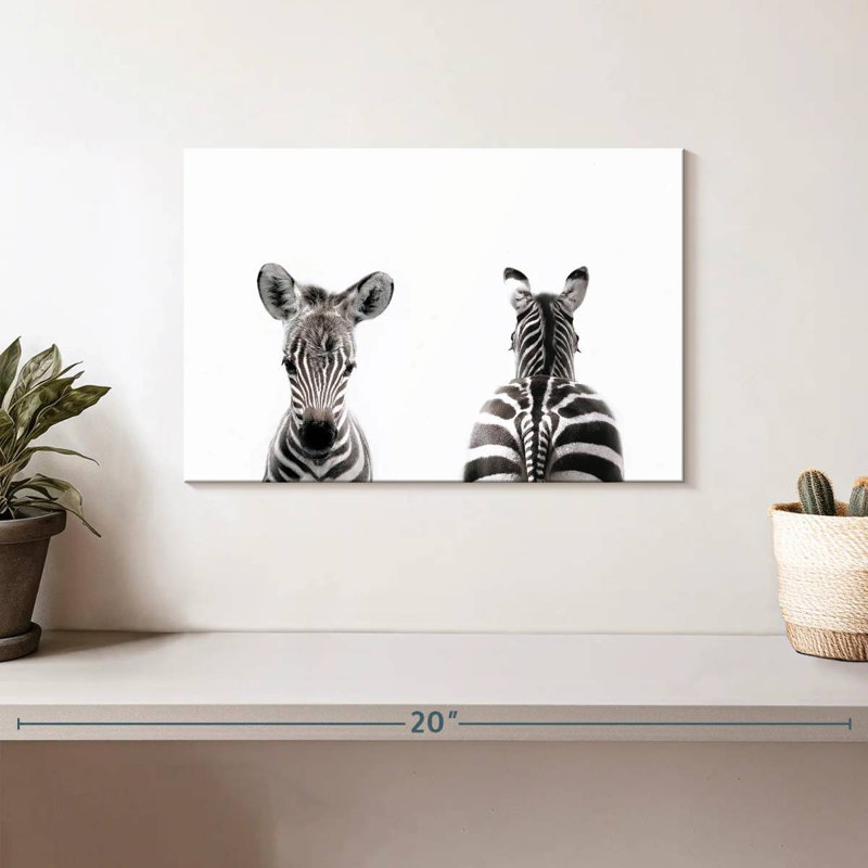 Zebra Front And Back Portrait, 8" H x 12" W
