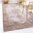 Oriental Indoor Rug-772777475