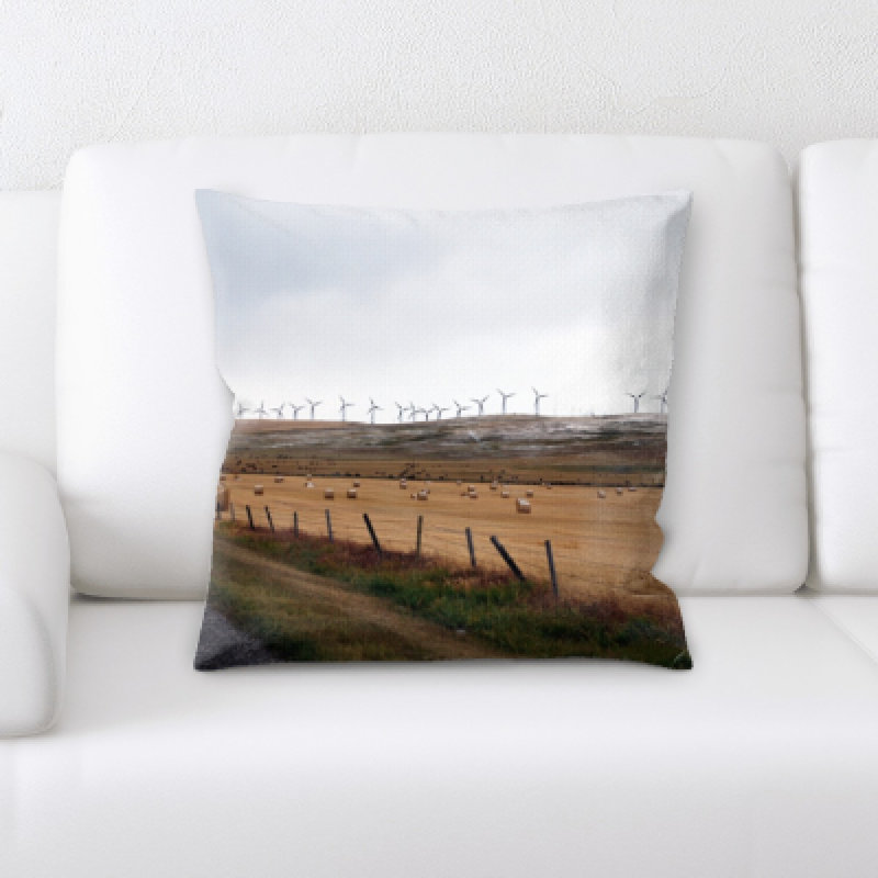 Coussin décoratif