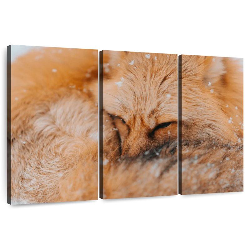 Renard moelleux Brampt, H 42 po x l 65 po