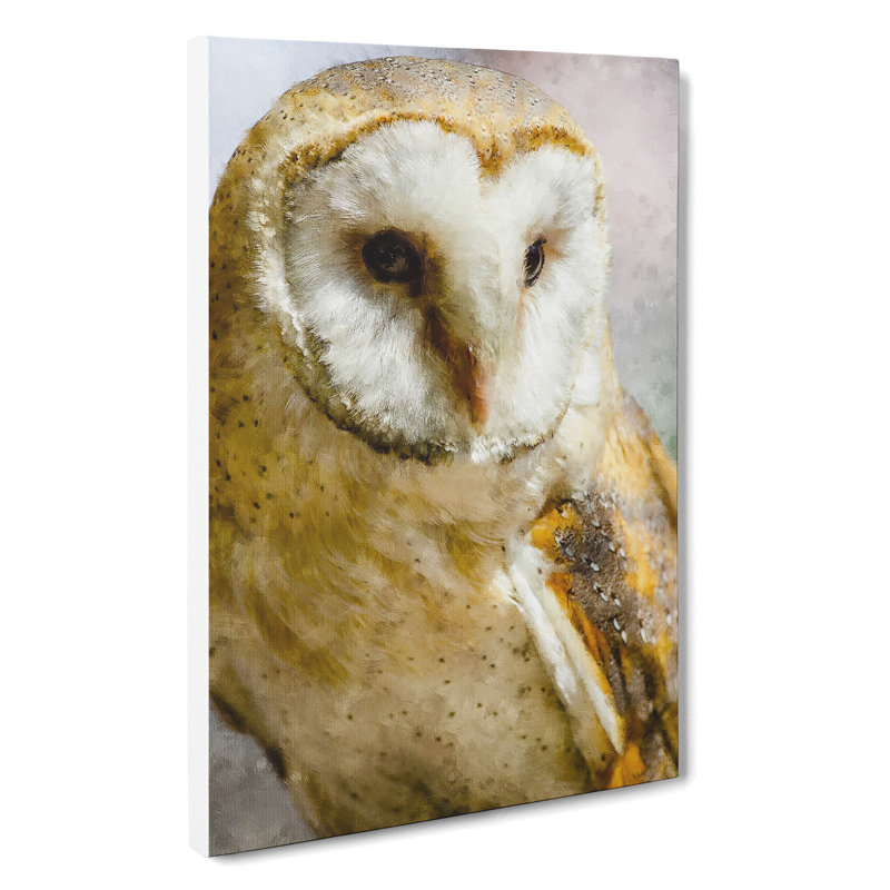 Barn Owl Vol.2 - Wrapped Canvas, 50cm H x 35cm W x 3cm D