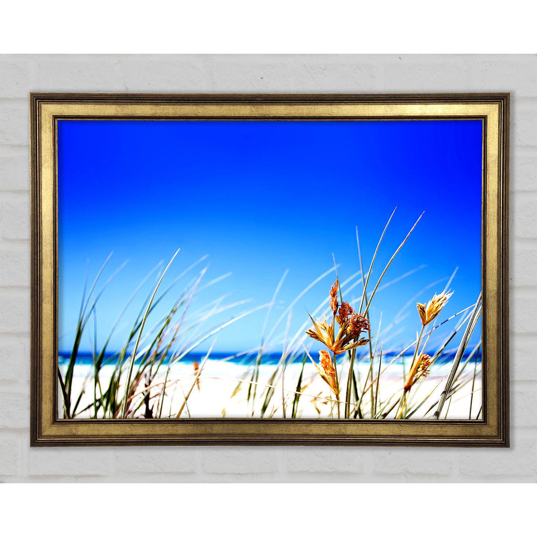 Gerahmtes Wandbild Clear Beach Sky