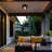 1-Light Outdoor Flush Mount Ceiling Light, Matte Black, Metal Cage Shade, Weather Resistant, Indoor