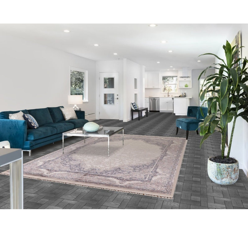 Tapis de salon traditionnel 7 x 10