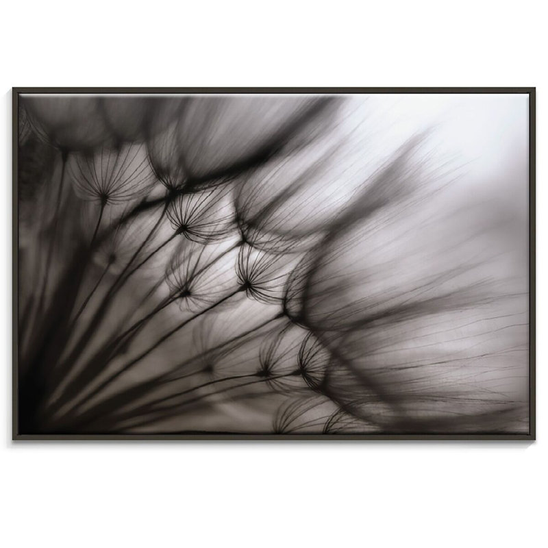 Print on Canvas, 51cm H x 76cm W, Black Floater Frame