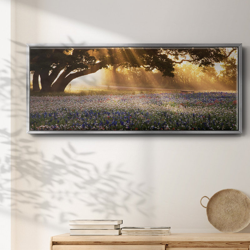Morning Meadow - toile encadrée, H 20 po x l 50 po