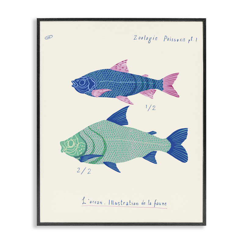 Étude de la faune marine, estampe numérique par Marina Astudillo, Giclée encadrée noir minuit, H 14 po x l 11 po