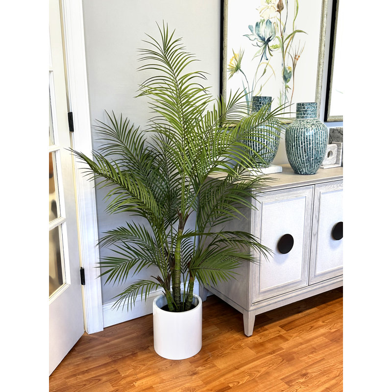 Outdoor UV Rated Kentia Palm Drop-In