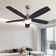 Ceiling Fan with LED Lights