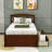 Twin Size 2 Drawers Platform Bed with Headboard-341344629