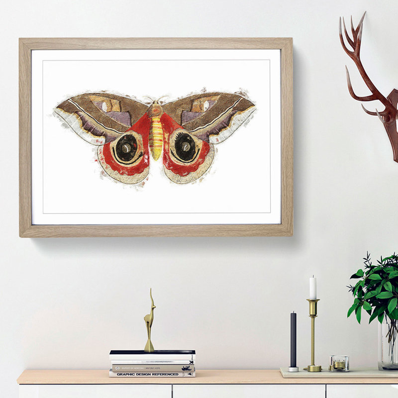 Automeris Moth by George Shaw - Framed Print, 45cm H x 63cm W x 2cm D, Oak Framed