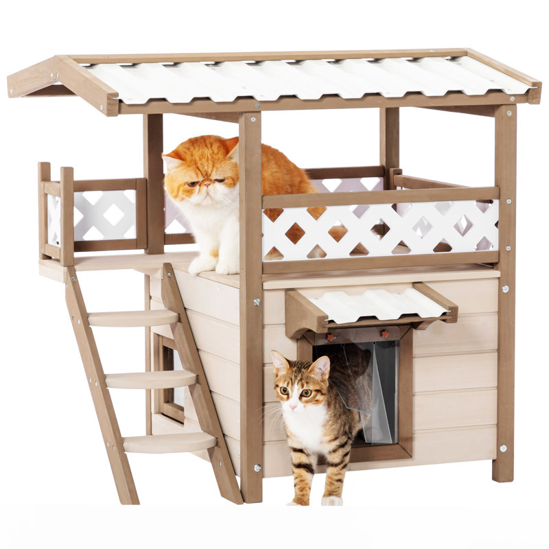 Maison pour chat multi-chats d'extérieur