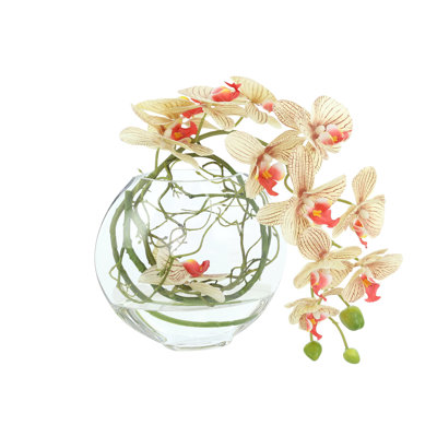 Orchid and Vine Arrangement in Glass Vase