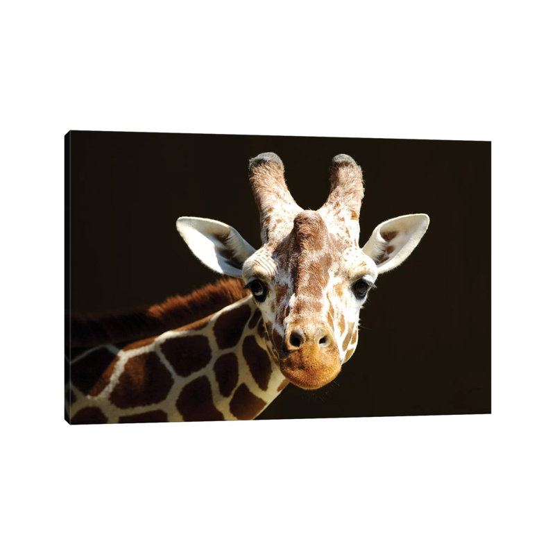Giraffe VI 1 Piece Wrapped Canvas Wall Art, 30.48 cm H x 45.72 cm W